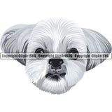Shih Tzu Dog Breed Head Color ClipArt SVG