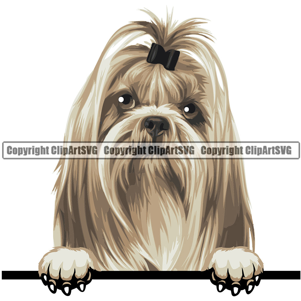 Shih Tzu Dog Breed Peeking Color ClipArt SVG