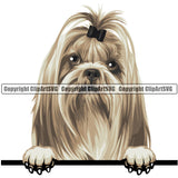 Shih Tzu Dog Breed Peeking Color ClipArt SVG