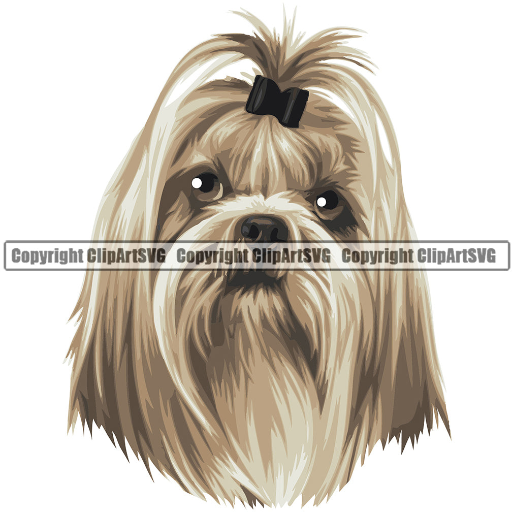 Shih Tzu Dog Breed Head Color ClipArt SVG