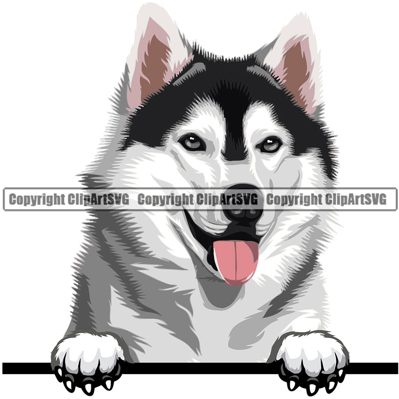 Siberian Husky Dog Breed Peeking Color ClipArt SVG