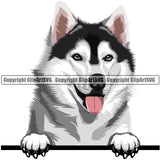 Siberian Husky Dog Breed Peeking Color ClipArt SVG
