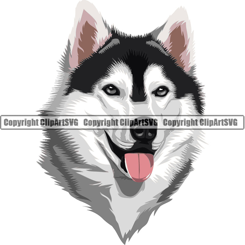 Siberian Husky Dog Breed Head Color ClipArt SVG