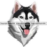 Siberian Husky Dog Breed Head Color ClipArt SVG