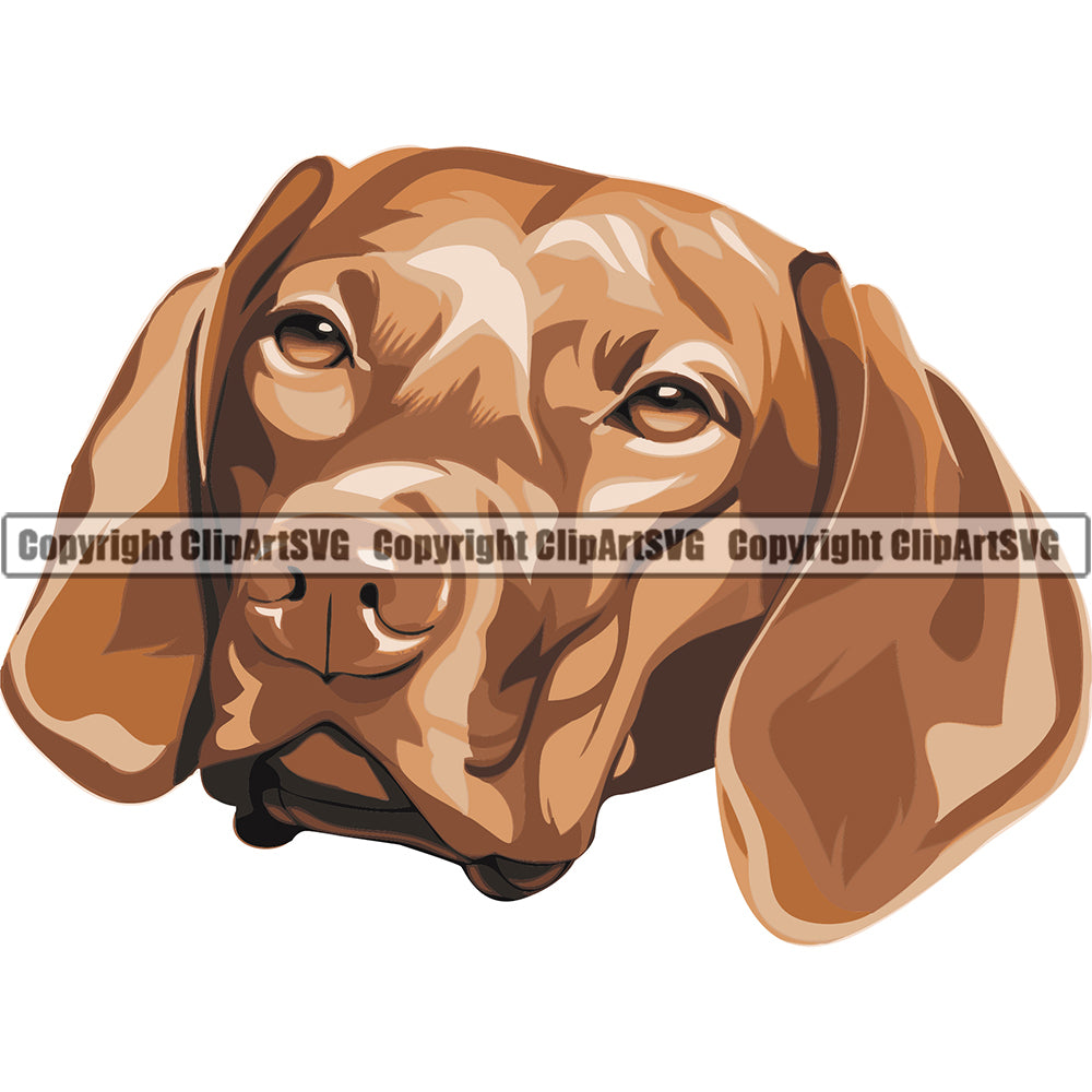 Vizsla Dog Breed Head Color ClipArt SVG