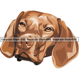 Vizsla Dog Breed Head Color ClipArt SVG