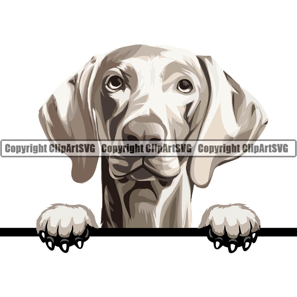 Weimaraner Dog Breed Peeking Color ClipArt SVG
