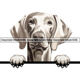 Weimaraner Dog Breed Peeking Color ClipArt SVG