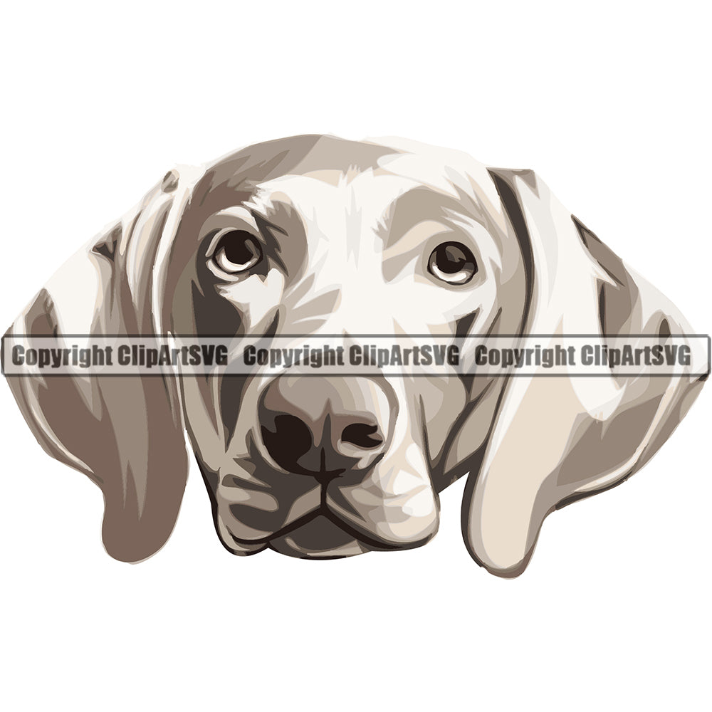 Weimaraner Dog Breed Head Color ClipArt SVG