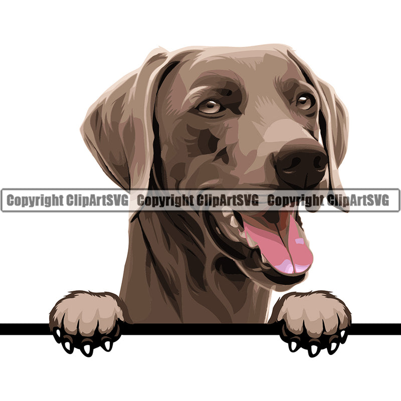 Weimaraner Dog Breed Peeking Color ClipArt SVG