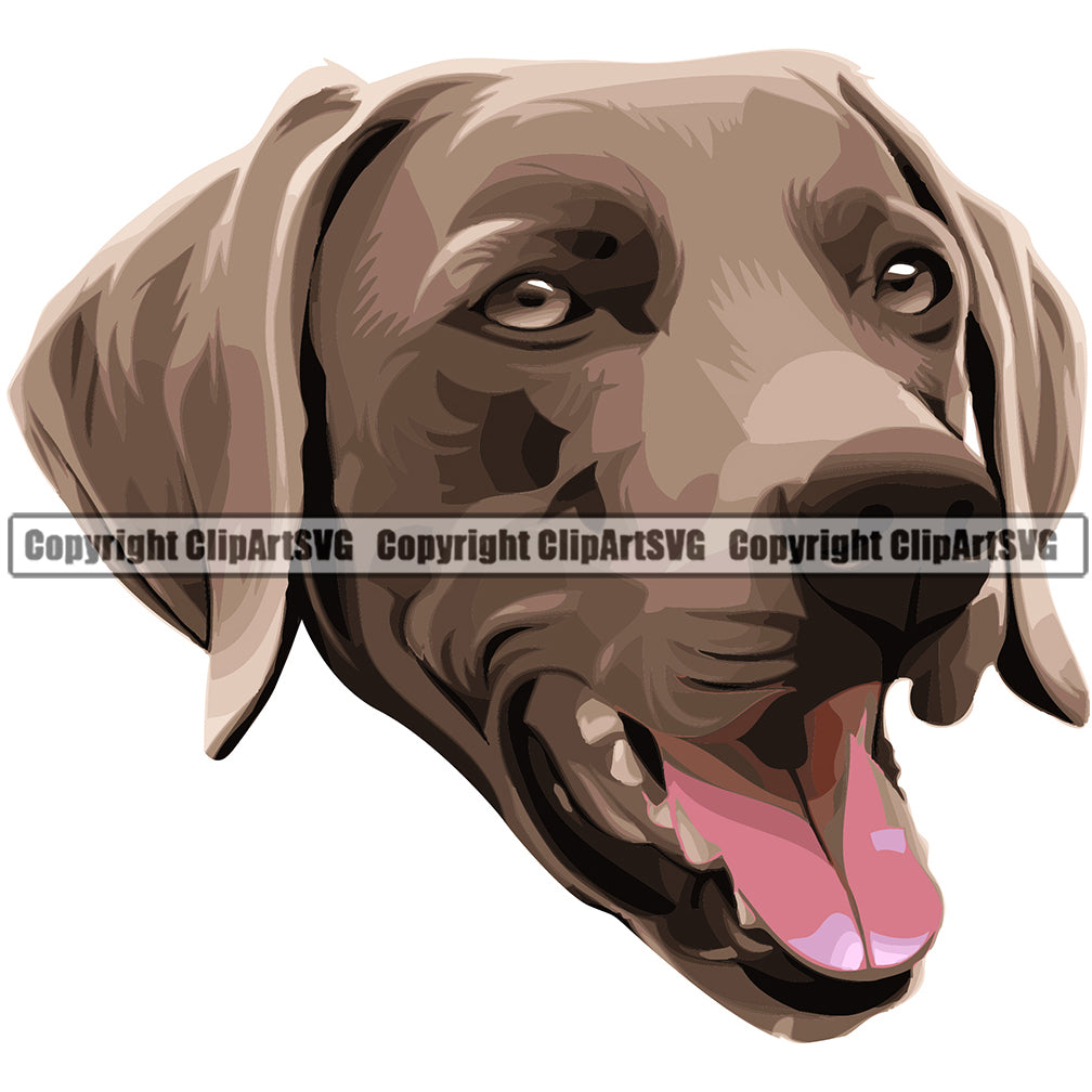 Weimaraner Dog Breed Head Color ClipArt SVG