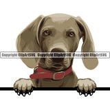 Weimaraner Dog Breed Peeking Color ClipArt SVG