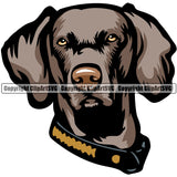 Weimaraner Dog Breed Head Color ClipArt SVG