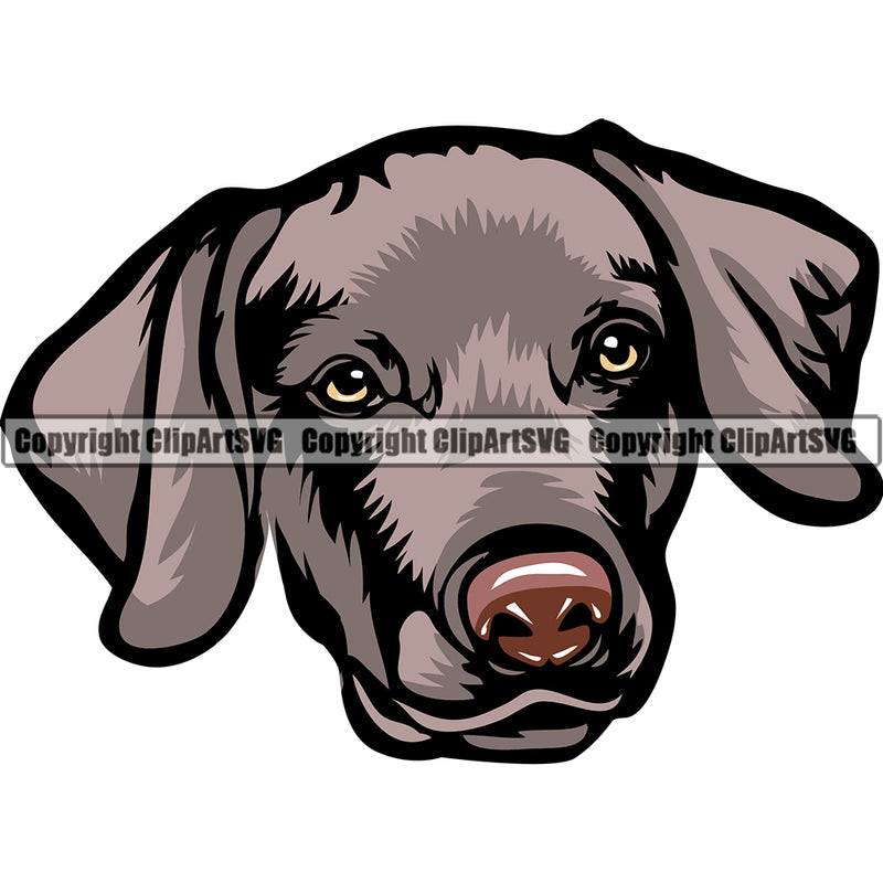 Weimaraner Dog Breed Head Color ClipArt SVG