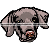 Weimaraner Dog Breed Head Color ClipArt SVG