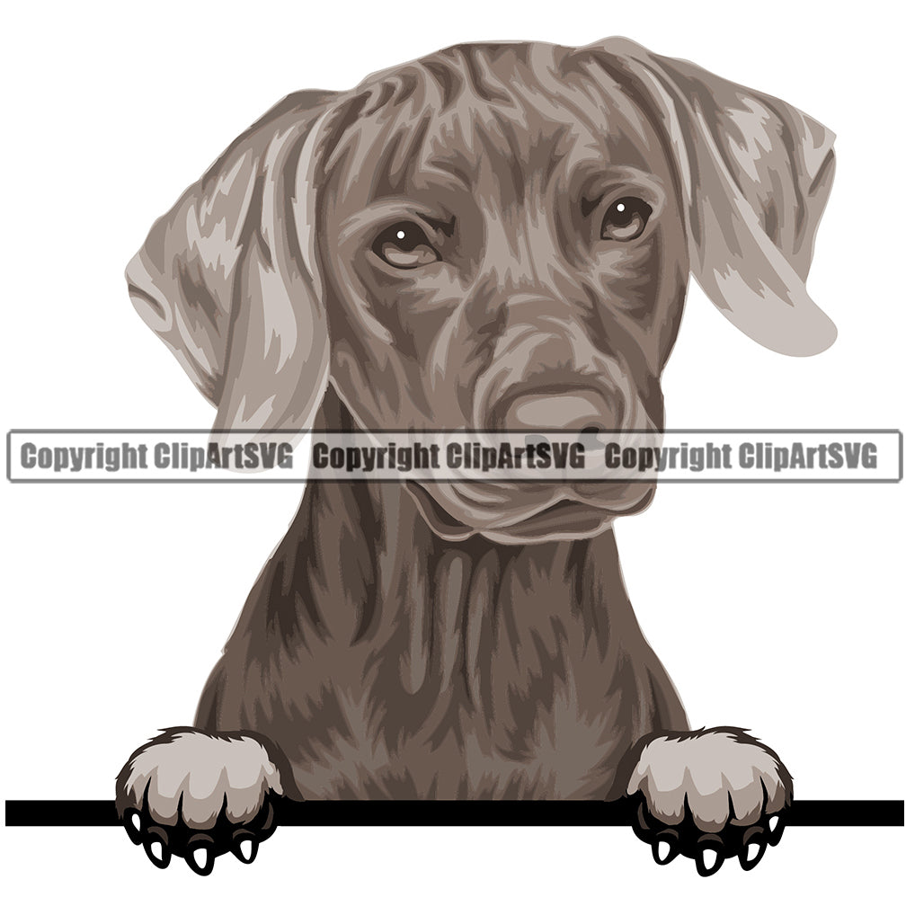 Weinheimer Dog Breed Peeking Color ClipArt SVG