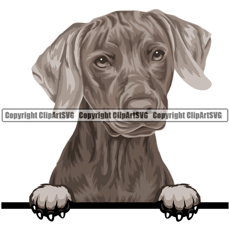 Weinheimer Dog Breed Peeking Color ClipArt SVG