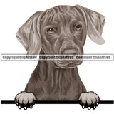 Weinheimer Dog Breed Peeking Color ClipArt SVG