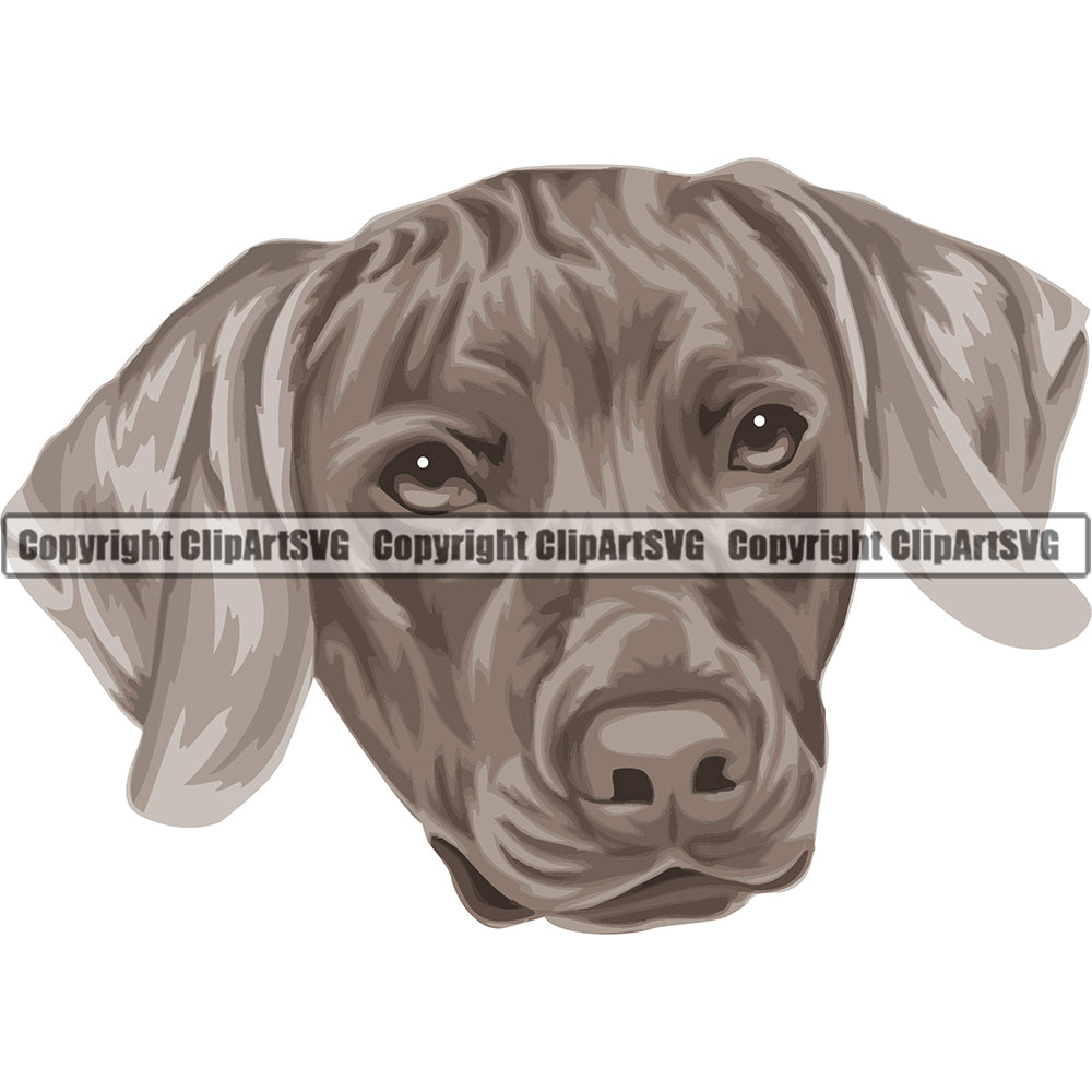 Weinheimer Dog Breed Color Head ClipArt SVG