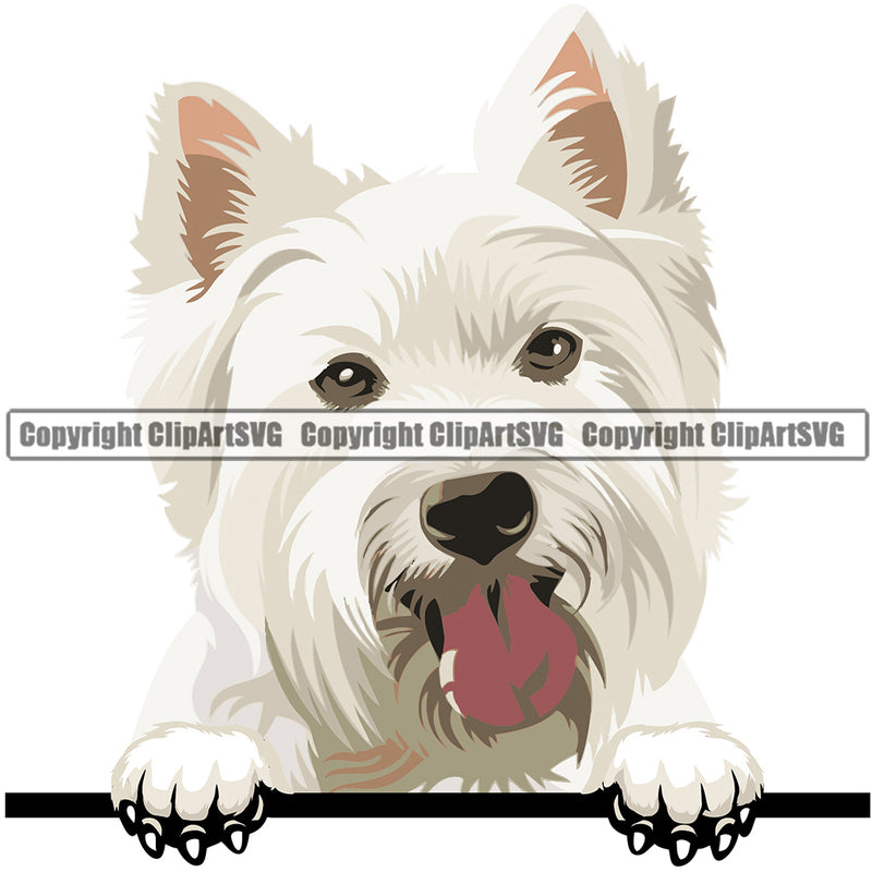 West Highland White Terrier Peeking Dog Breed ClipArt SVG