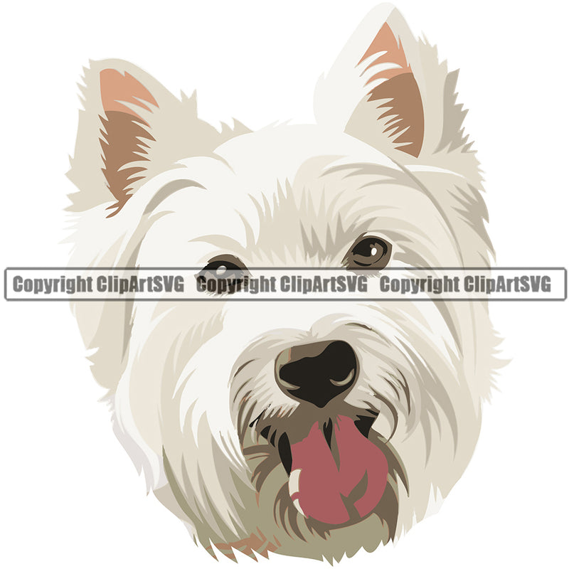 West Highland White Terrier Dog Breed Head Color ClipArt SVG