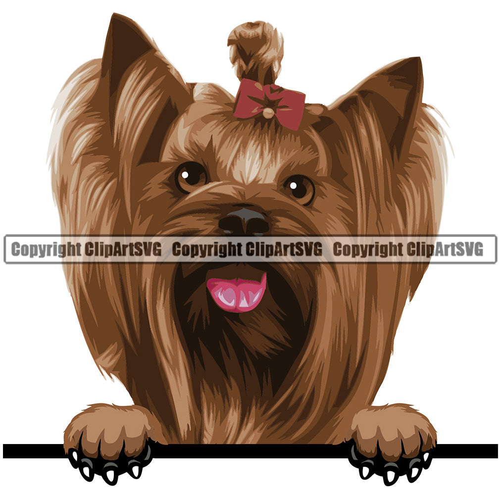 Yorkie Dog Breed Peeking Color ClipArt SVG