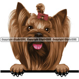 Yorkie Dog Breed Peeking Color ClipArt SVG