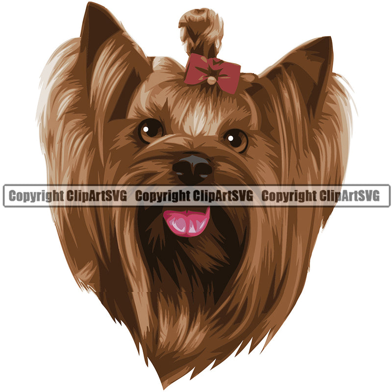 Yorkshire Terrier Yorkie Dog Breed Head Color ClipArt SVG