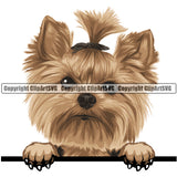Yorkie Dog Breed Peeking Color ClipArt SVG