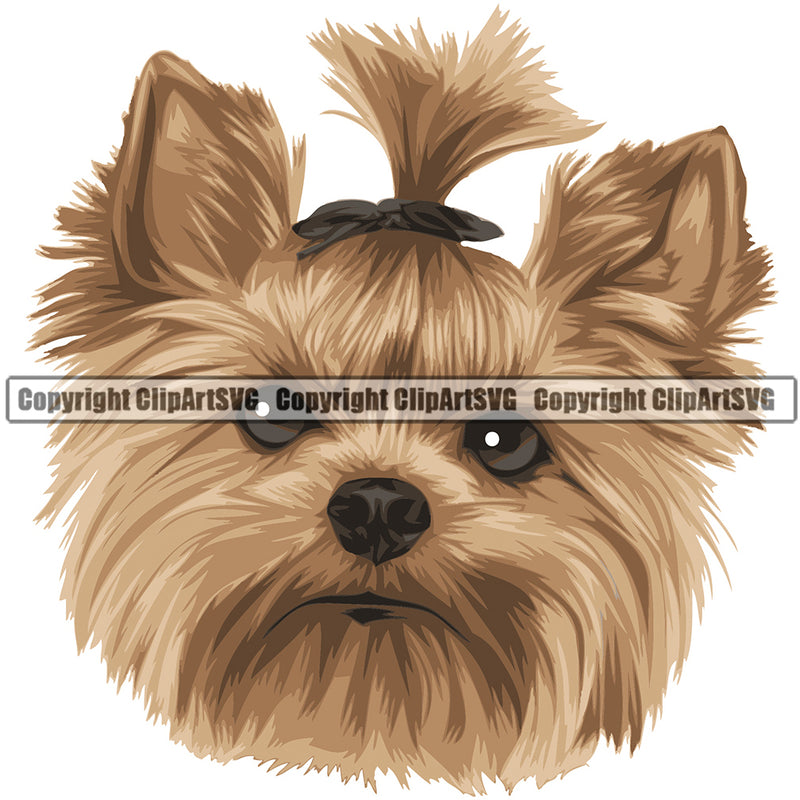Yorkshire Terrier Yorkie Dog Breed Head Color ClipArt SVG