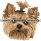 Yorkshire Terrier Yorkie Dog Breed Head Color ClipArt SVG