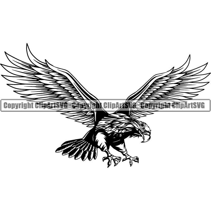 Eagle American Bald Bird Animal ClipArt SVG