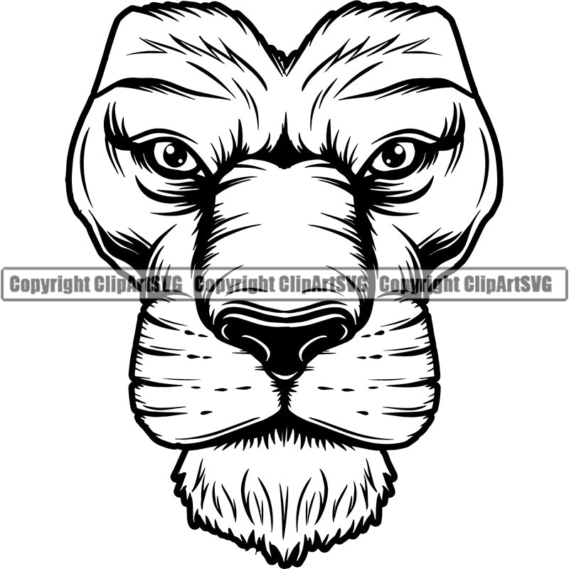 Lion Jungle Big Cat Animal ClipArt SVG