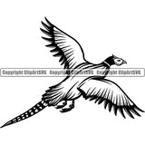Pheasant Bird Animal ClipArt SVG