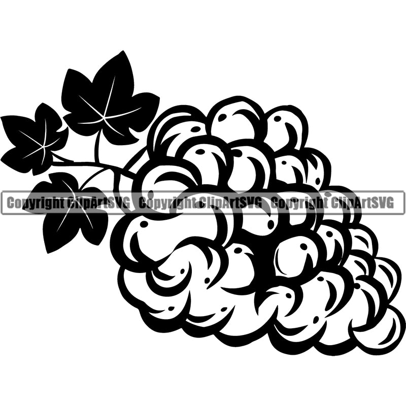 Wine Grapes Alcohol Liquor Drink Drinking Celebrate Celebration Event ClipArt SVG