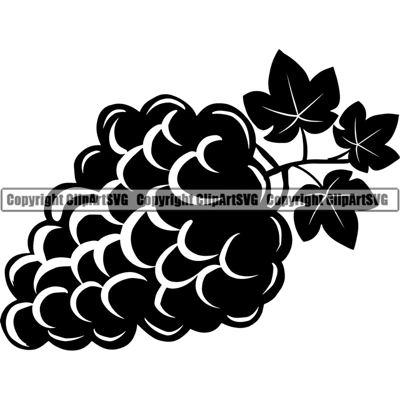 Wine Grapes Bottle Alcohol Liquor Drink Drinking Logo ClipArt SVG