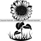 Hobby Gardening Flower Sunflower Pot ClipArt SVG
