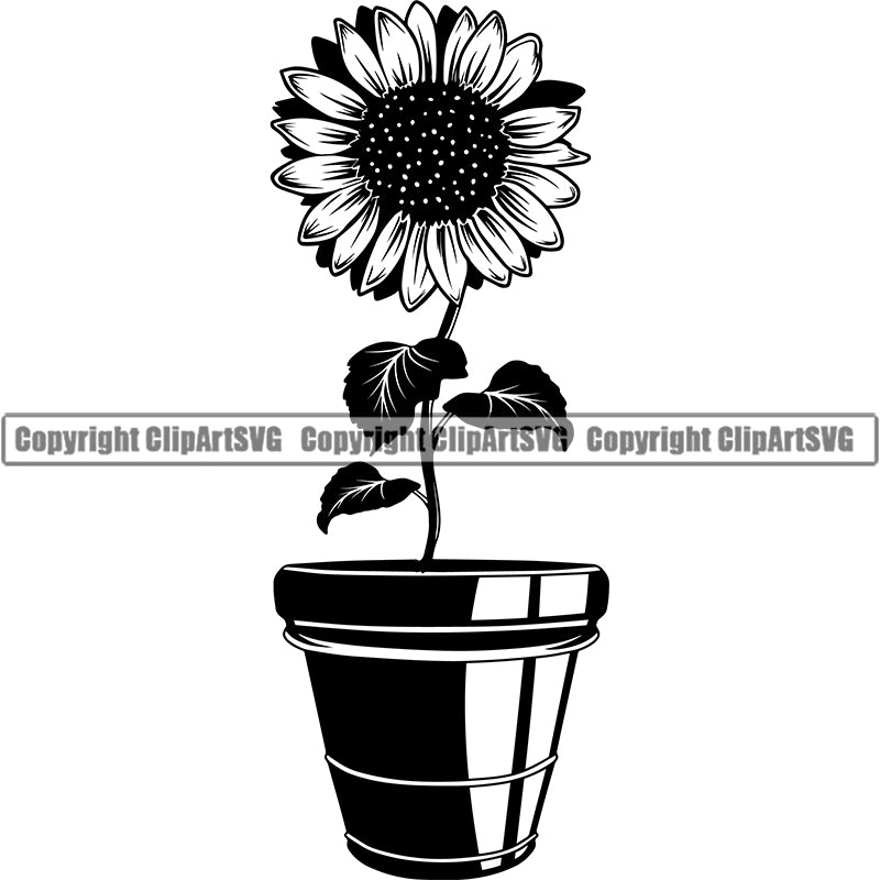Hobby Gardening Flower Sunflower Pot ClipArt SVG