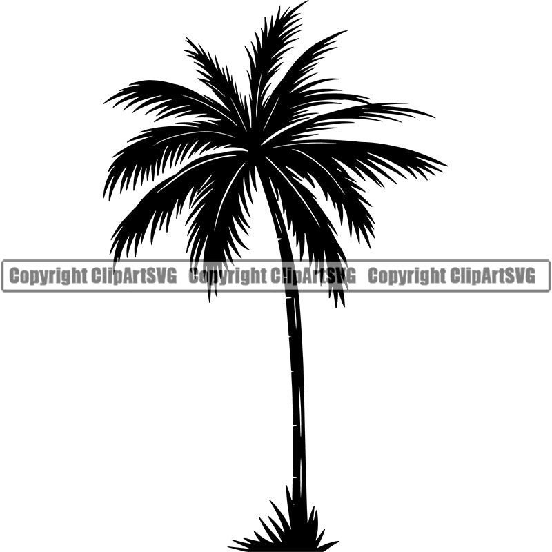 Nature Tree Palm Beach Summer Tropical Island ClipArt SVG