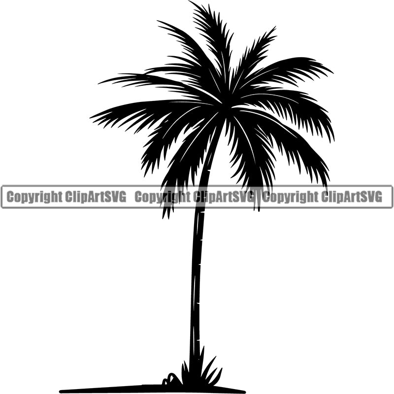Nature Tree Palm Beach Summer Tropical Island ClipArt SVG
