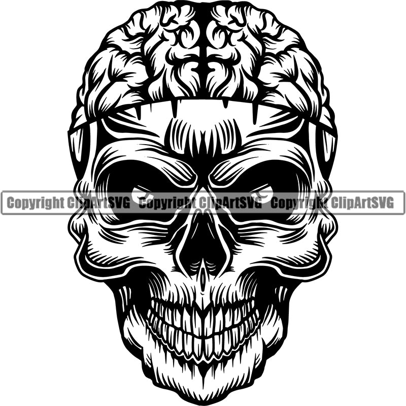 Skull Brain Head Organ Face Skeleton Biology Vector ClipArt SVG