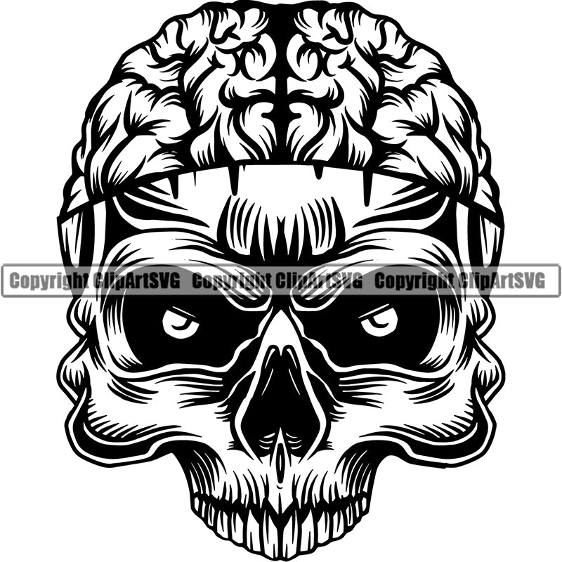 Skull Brain Head Organ Half Face Skeleton Biology Vector ClipArt SVG